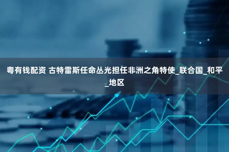 粤有钱配资 古特雷斯任命丛光担任非洲之角特使_联合国_和平_地区
