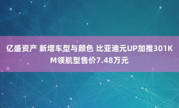 亿盛资产 新增车型与颜色 比亚迪元UP加推301KM领航型售价7.48万元