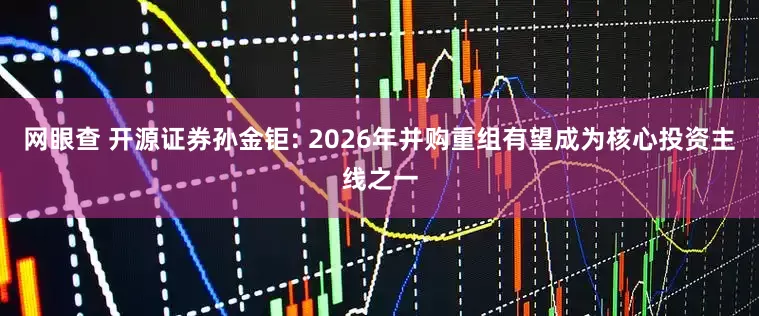 网眼查 开源证券孙金钜: 2026年并购重组有望成为核心投资主线之一